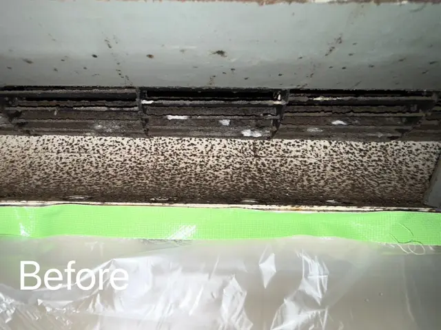 【複数台割引きでお得】迷ったらここ！大手経験の店長が対応！口コミ◎保険加入済み◎サービスの画像