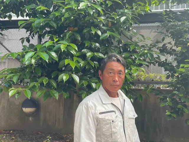 庭木剪定•枝切りなどサービスの画像