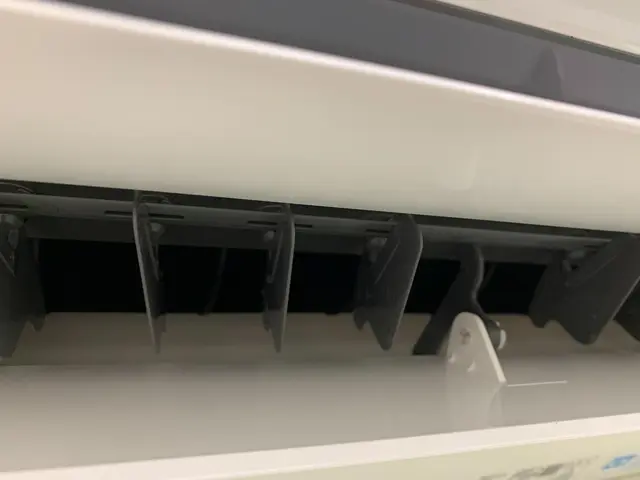 ☆1月2月ご予約につき早割☆1000OFF!!!!サービスの画像