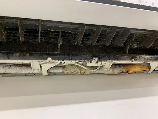 ☆1月2月ご予約につき早割☆1000OFF!!!!サービスの画像