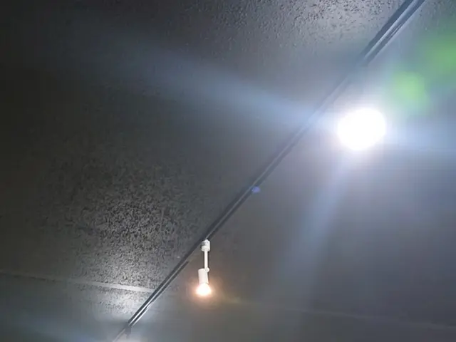 ◎シーリング照明やシーリングファン・ダウンライト等の取付、交換、新設したい時に。サービスの画像