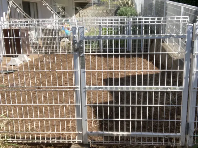 草刈り機を使ってお庭やお家周りの雑草を草刈りいたします！サービスの画像