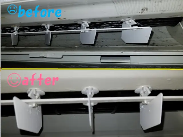 エコ&天然洗剤で人や動物や環境に配慮◎サービスの画像