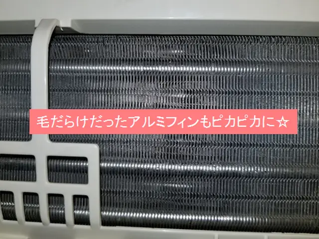 エコ&天然洗剤で人や動物や環境に配慮◎サービスの画像