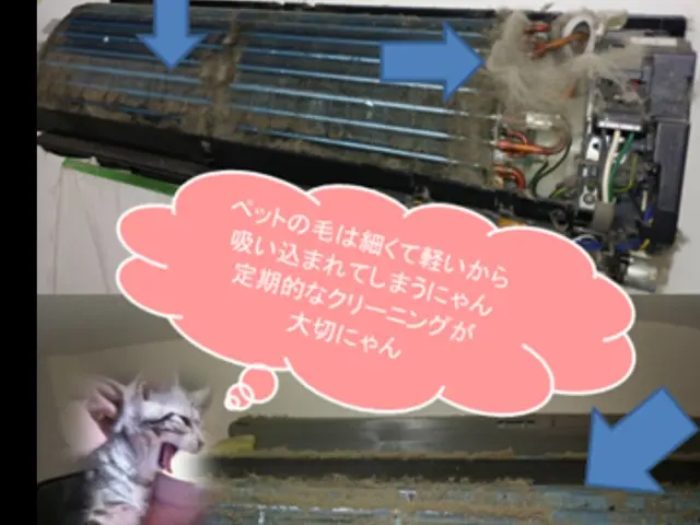 エコ&天然洗剤で人や動物や環境に配慮◎サービスの画像