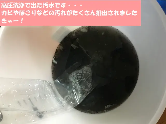 エコ&天然洗剤で人や動物や環境に配慮◎サービスの画像