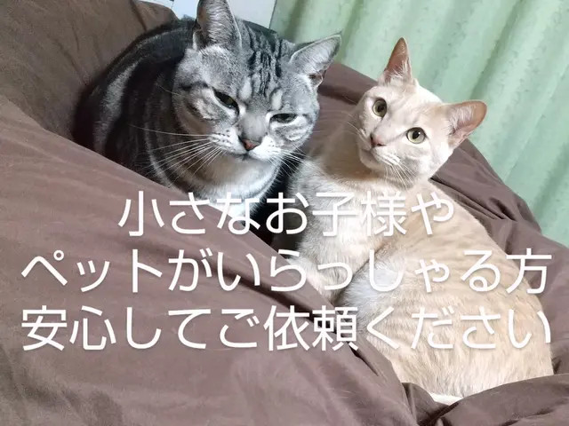 エコ&天然洗剤で人や動物や環境に配慮◎サービスの画像