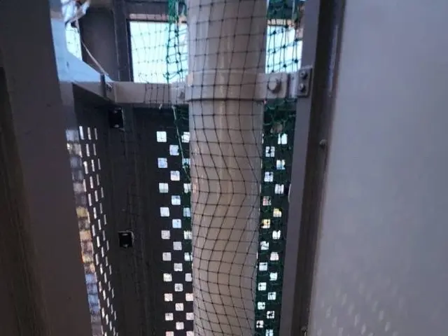 鳩によるどんな被害も徹底解決！営業日・時間外でもご相談だけでもお気軽に連絡下さいサービスの画像