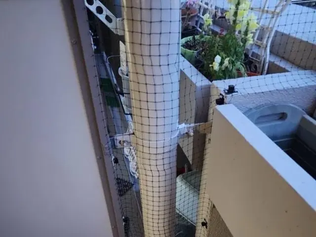 鳩によるどんな被害も徹底解決！営業日・時間外でもご相談だけでもお気軽に連絡下さいサービスの画像