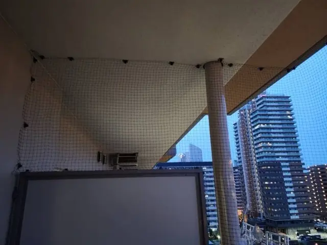 鳩によるどんな被害も徹底解決！営業日・時間外でもご相談だけでもお気軽に連絡下さいサービスの画像