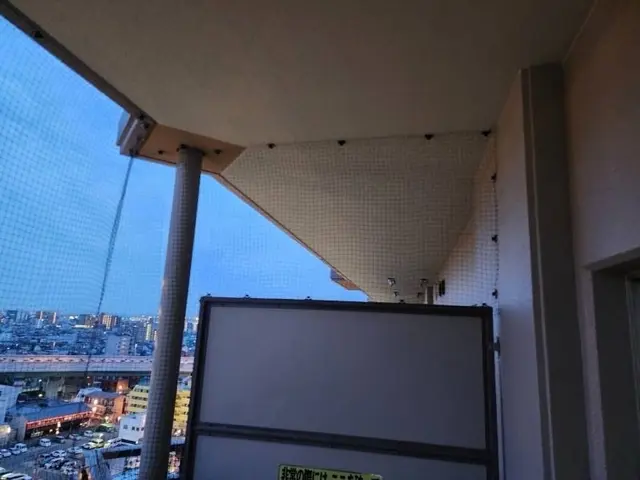 鳩によるどんな被害も徹底解決！営業日・時間外でもご相談だけでもお気軽に連絡下さいサービスの画像