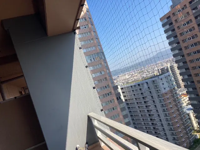 鳩のネット設置、忌避剤サービスの画像