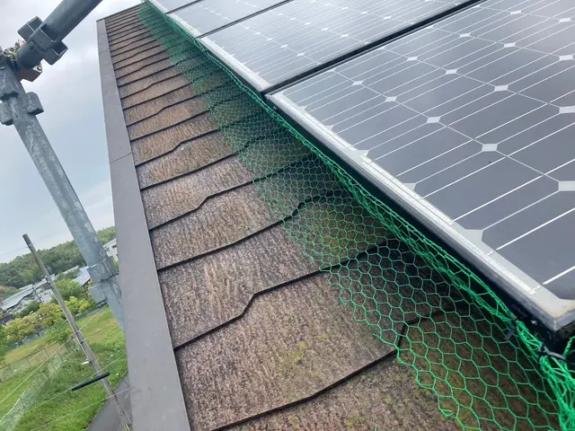 鳩のネット設置、忌避剤サービスの画像