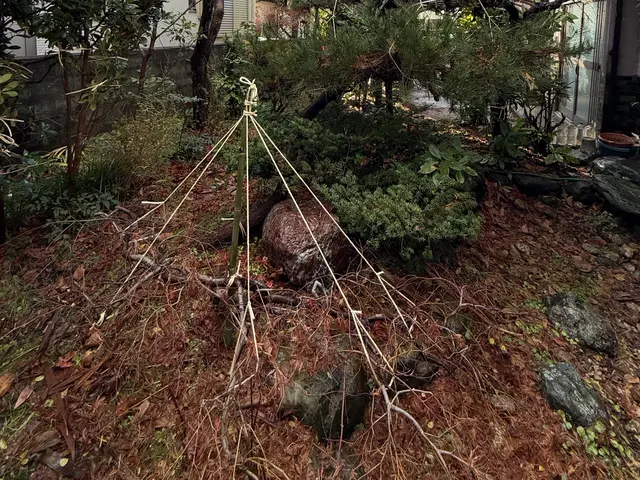 冬囲いやります！サービスの画像