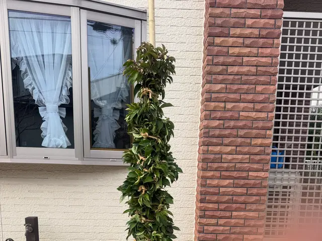 冬囲いやります！サービスの画像