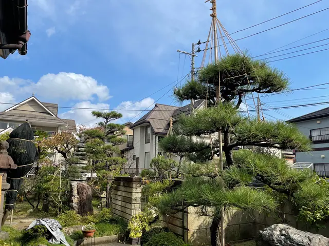 冬囲いやります！サービスの画像