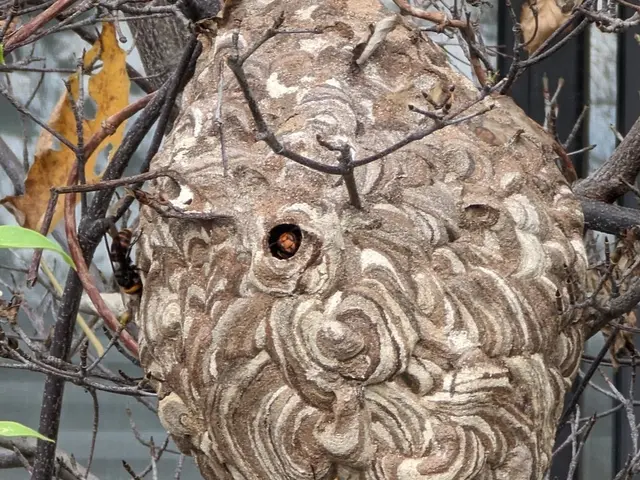 事故予防！【業歴14年】すべて自社対応◆損害保険加入済み◆サービスの画像