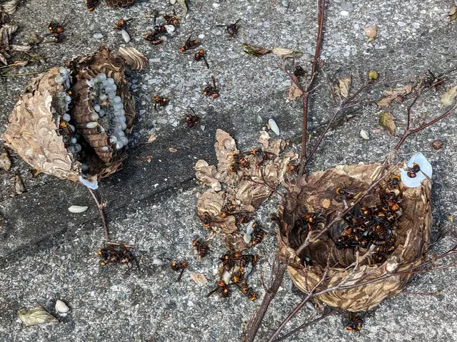 事故予防！【業歴14年】すべて自社対応◆損害保険加入済み◆サービスの画像