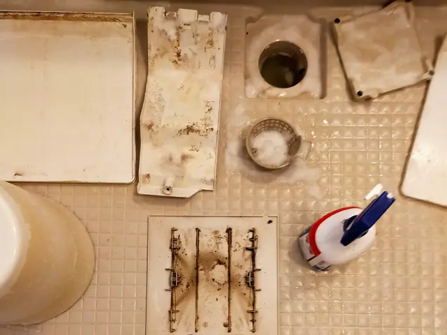 女性スタッフ同行OK！予約可能！損害保険加入！◎コロナ対策◎サービスの画像