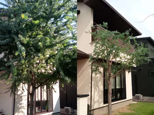 【庭木の剪定】群馬県内指定地域密着！作業外注一切なし！サービスの画像