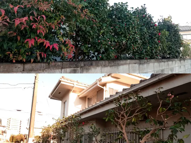 【庭木の剪定】群馬県内指定地域密着！作業外注一切なし！サービスの画像