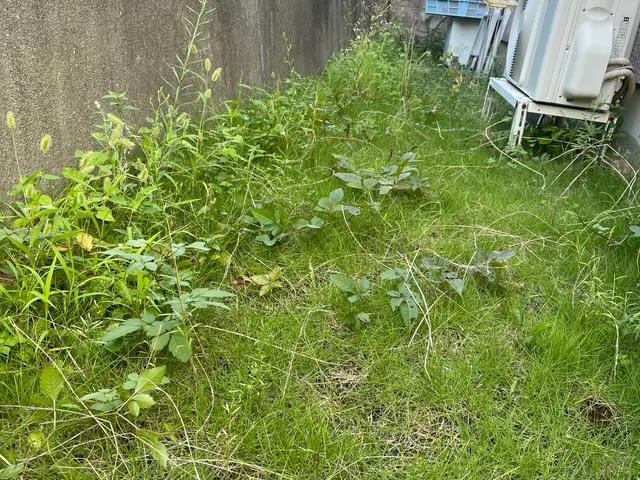 私が心を込めて誠心誠意対応いたします！アフターフォローも万全サービスの画像