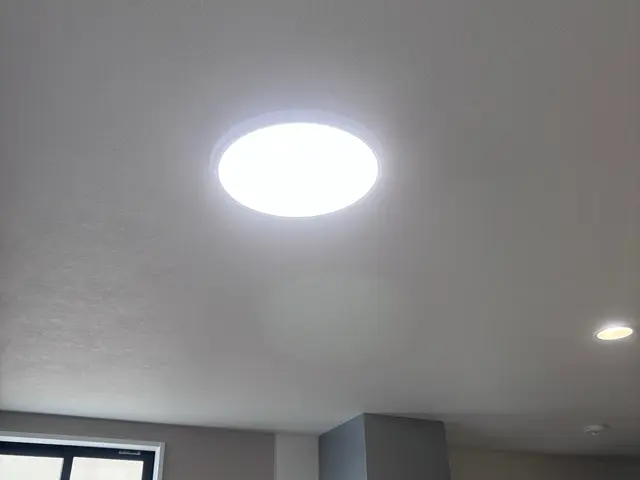 シーリング、各種照明交換サービスの画像