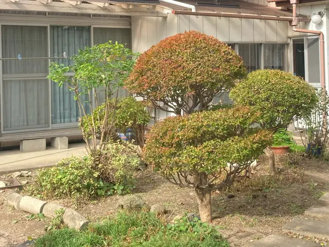 庭木の剪定による春の害虫予防いかがですか？ご要望に応じて出張無料見積致します。サービスの画像