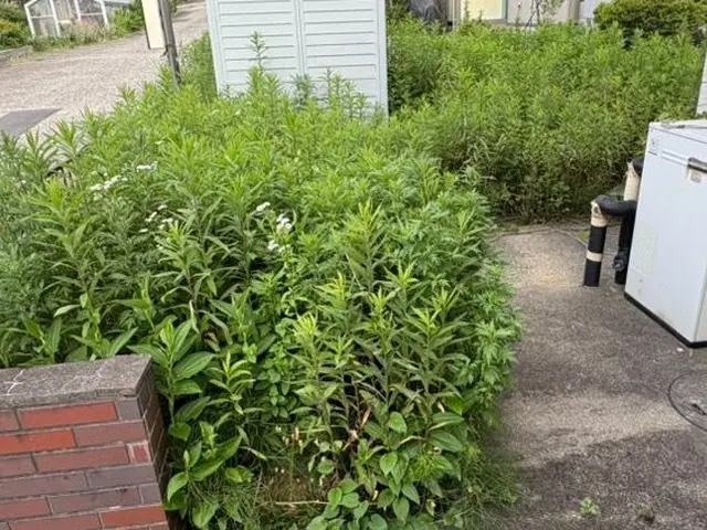 【休日対応可】縁の下の力持ち、そんな企業を目指しています！サービスの画像