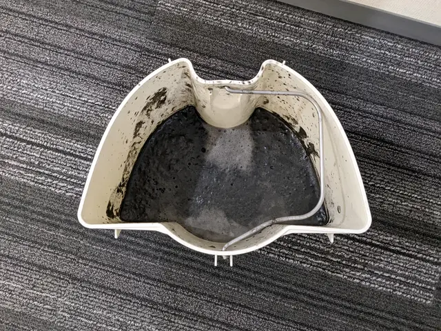 1日1件限定なので丁寧に仕上げます◎駐車代当店負担◎人体に優しいイオンウォッシュサービスの画像