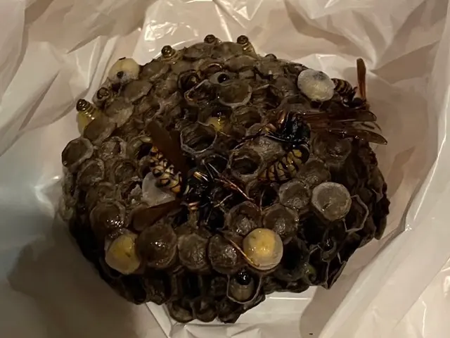 （10/29.30対応可能）すぐに返答します。まずはお気軽にご相談を！サービスの画像