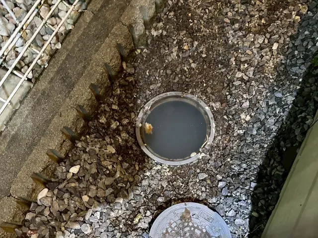 プロの技術でご満足いただけるように心を込めて作業いたしますサービスの画像