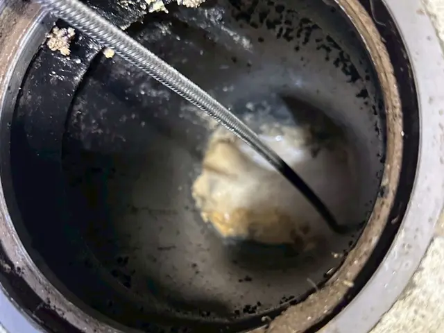 プロの技術でご満足いただけるように心を込めて作業いたしますサービスの画像