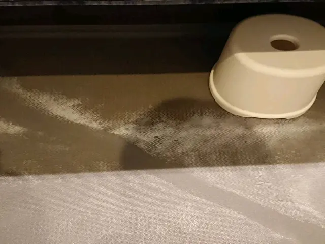 【女性スタッフ活躍中】お風呂のカビや石鹸カスもピカピカにします(’-’*)♪サービスの画像