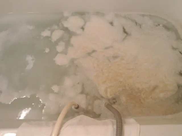 プロの洗浄で綺麗な湯船に入浴◎マスク着用◎安心エコ洗剤！クレカOKサービスの画像