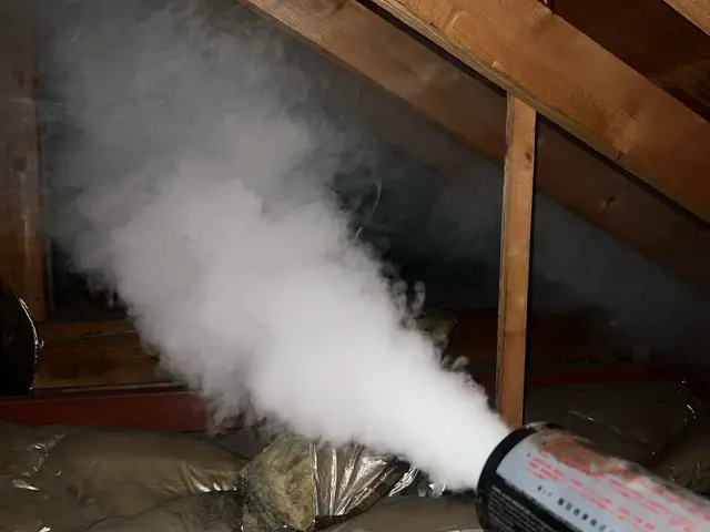 リフォーム経験18年！プロが行う確実なネズミ駆除！サービスの画像