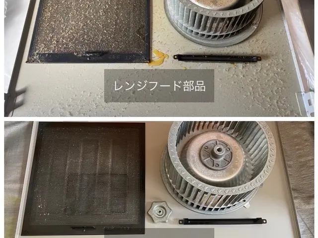 気づけばほこりと油汚れが見えてたり…換気機能が低下する前にぜひ！サービスの画像