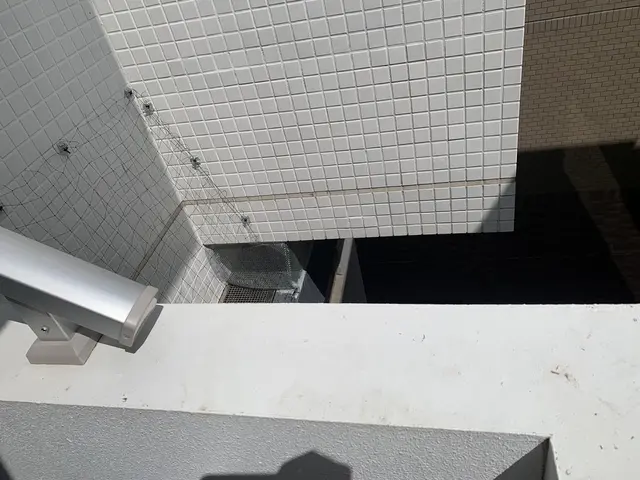 江戸川区を中心に鳩よけネット設置、忌避などをしています！サービスの画像