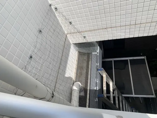 江戸川区を中心に鳩よけネット設置、忌避などをしています！サービスの画像