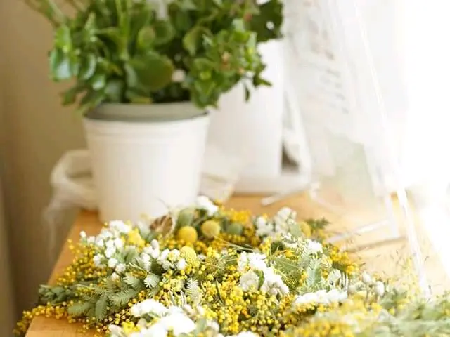 《女性カメラマンが伺います◎》女性視点の撮影スタイルサービスの画像