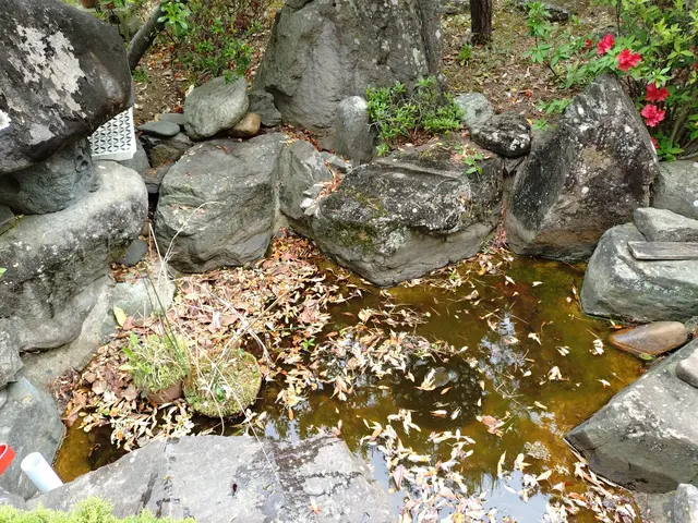 池の掃除ならお任せ下さい！サービスの画像