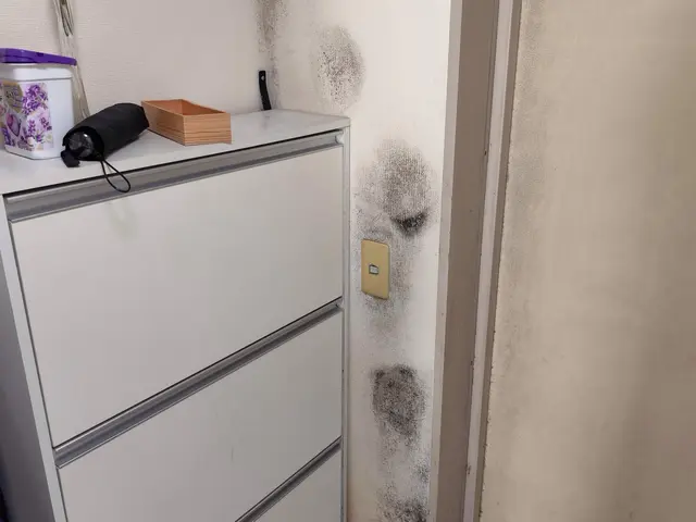 「クロスメイク野澤」張り替えの約半額で壁紙をキレイにします。サービスの画像