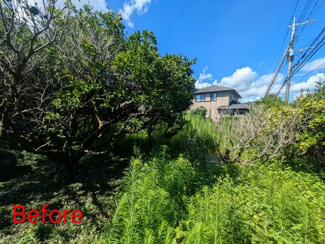 プロの技術でご満足いただけるように心を込めて作業いたしますサービスの画像