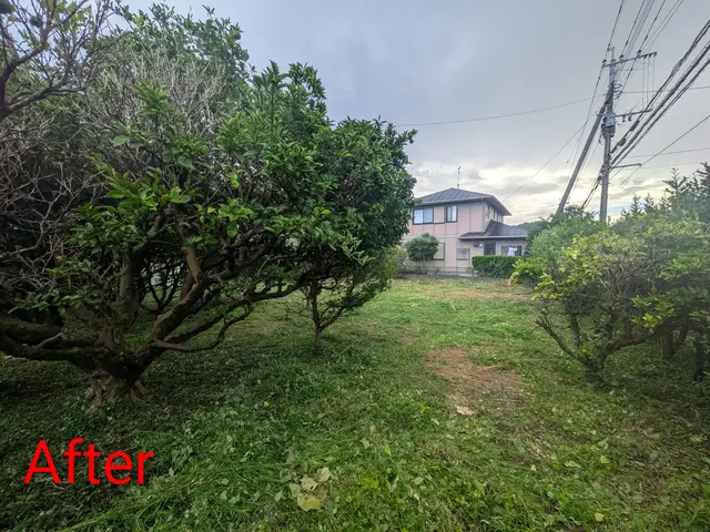 プロの技術でご満足いただけるように心を込めて作業いたしますサービスの画像