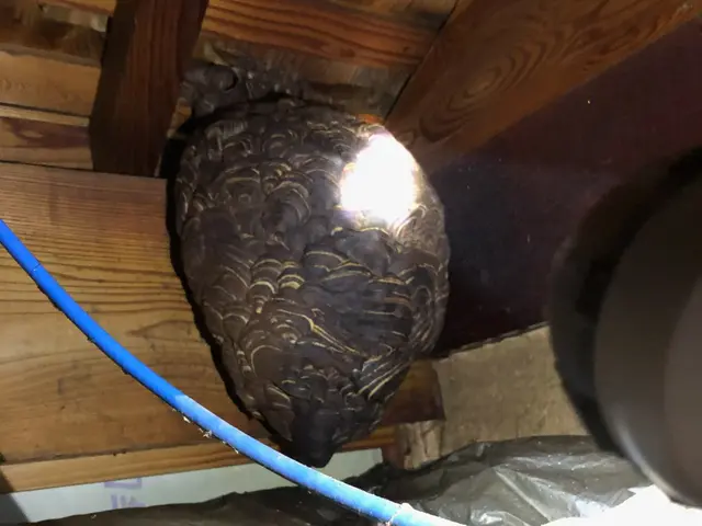 お客様のお力になります！経験と知識を活かして迅速丁寧に作業いたしますサービスの画像