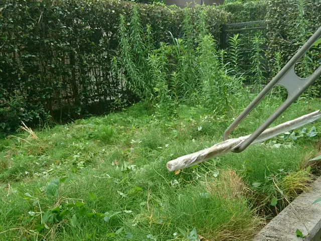 元服飾デザイナー&元東京都公園協会職員サービスの画像