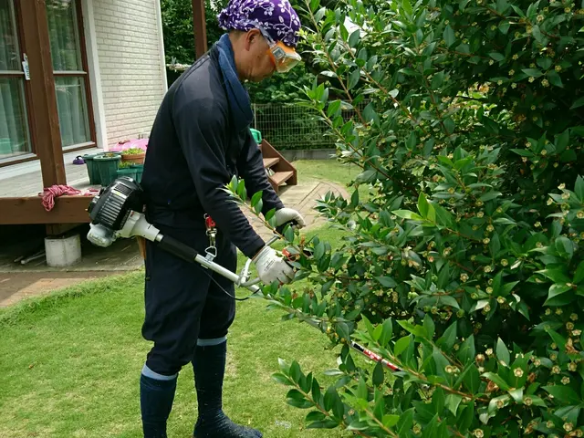 元服飾デザイナー&元東京都公園協会職員サービスの画像