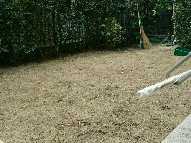 元服飾デザイナー&元東京都公園協会職員サービスの画像