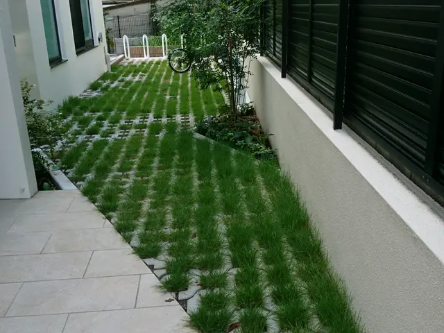 元服飾デザイナー&元東京都公園協会職員サービスの画像