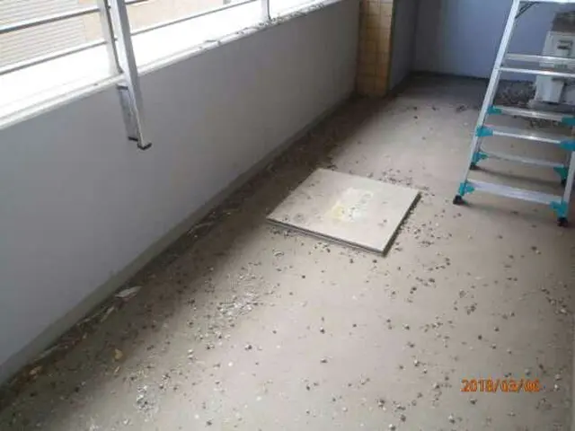 《東京、神奈川、埼玉》清掃、消毒、ネット取付け！ハト対策は当社にお任せ下さい！！サービスの画像